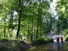 Le Boiron, la rivière au coeur de la Maison de la Rivière.