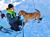 La récompense du chien, ici une balle pour jouer.