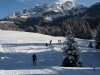 Exercices de descente aux communs de l'Hongrin