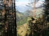 La trouée dans la forêt en juillet 2020.