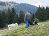 Jean-Pierre Vittoni en attente parfaite avec ses chiens.