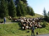Un autre raccourci en direction des Mazots.