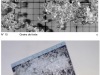 Petit cours de neige : grains de fonte et grésil.