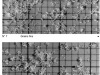 Grains fins vus à la loupe.