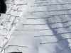 Survol des paravalanches le 31 janvier 2021.