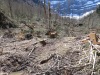Un tronçon de la piste vita.