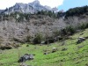 Au-dessus de la buvette de Creux de Champ.