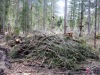L'accrobranche...sans les branches.