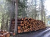 Le bois trié prêt à être chargé.