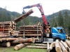 Bois destiné à la construction de caisses et palettes en Italie.