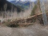 Un chantier d'envergure.