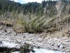 Au bord de la Grande Eau.