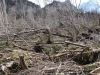 Au fond de Creux de Champ.