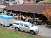 Il y a du monde au marché.