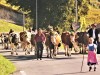 Arrivée aux Diablerets