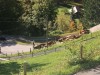 plus bas sur la route