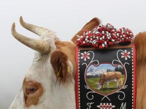 Détail d'une broderie de toupin