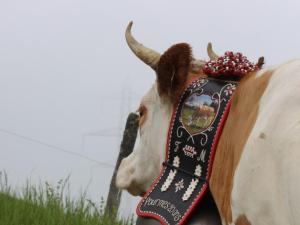 Toute belle et fière de monter à l'alpage