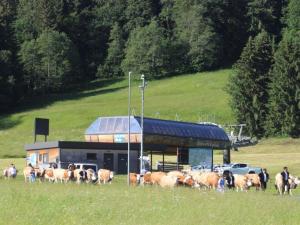 Arrivée aux Diablerets