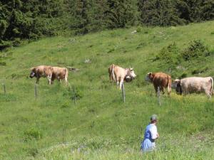 Le dernier bout jusqu'à l'alpage de la Marnèche