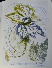 Livre d’or, livre d’art, demandez à les feuilleter !