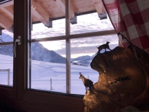 Le refuge à l’heure du lynx et du chamois