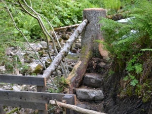 Des éléments naturels pour sécuriser le chemin.