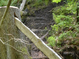 Des éléments naturels pour sécuriser le chemin.