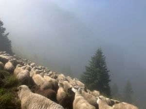 Mais il faut faire face à n\'importe quelle météo.