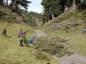 Mise en tas des branches tronçonnées le matin