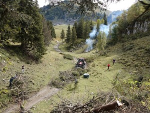 Oscar Bonzon vient récupérer les branches avec le tracteur