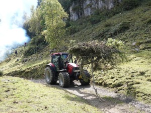 Transport des branches pour les brûler