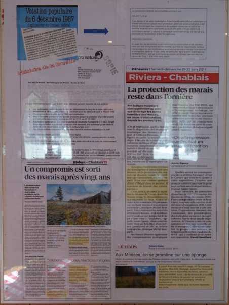 Thérèse, malgré le travail en cuisine, a trouvé le temps de faire une revue de presse sur le sujet de la buvette