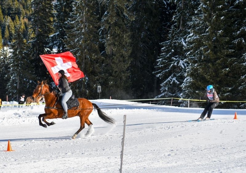 skijoring_aux_mosses_1