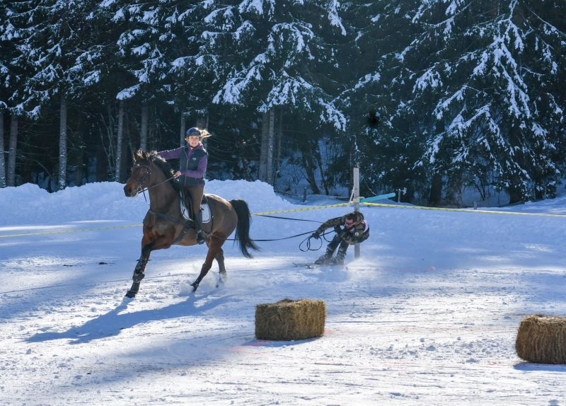 skijoring_aux_mosses_3