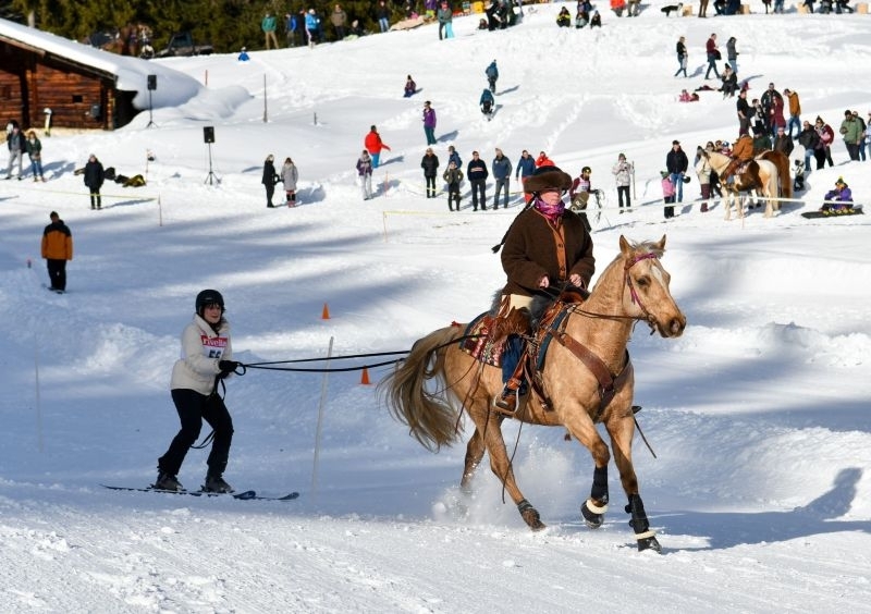 skijoring_aux_mosses_4