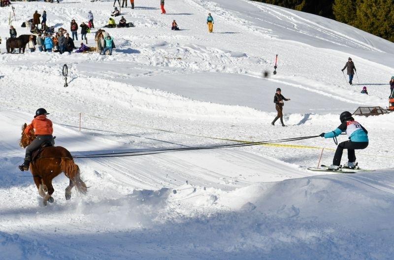 skijoring_aux_mosses_5