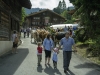 wdsc_1625_vachesforclaz