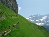 WCOTN6225_sentierDrudyGens
