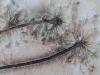 Céramique_Fehr