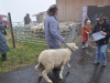 Syndicat petit betail SA 16.10.10 019