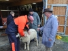 Syndicat petit betail SA 16.10.10 037