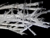 DSC04428