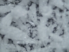 DSC04478
