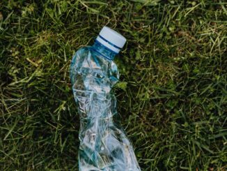 crumpled plastic bottle on green lawn