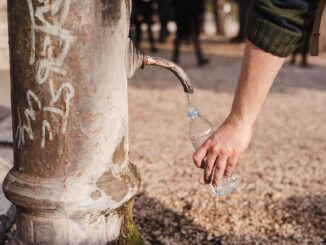 crop person filling bottle with water from drinking fountain