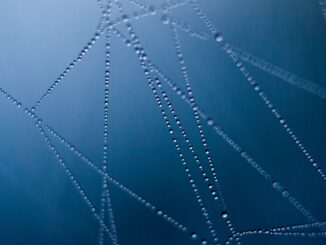 abstract art cobweb connection