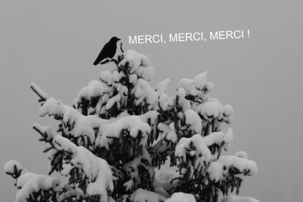 Remerciements