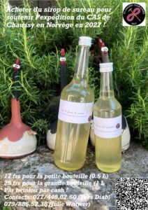 sirop-de-sureau-flyer.pdf