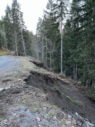 Groupement Forestier Leysin-Les Ormonts